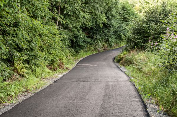 Asphalt Driveway Replacement in Parrish