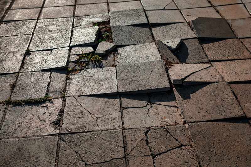Commercial Paving Repair detail